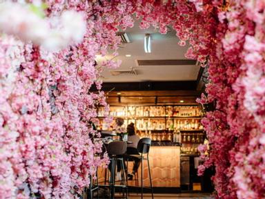 Experience the Japanese cherry blossom season in Sydney
