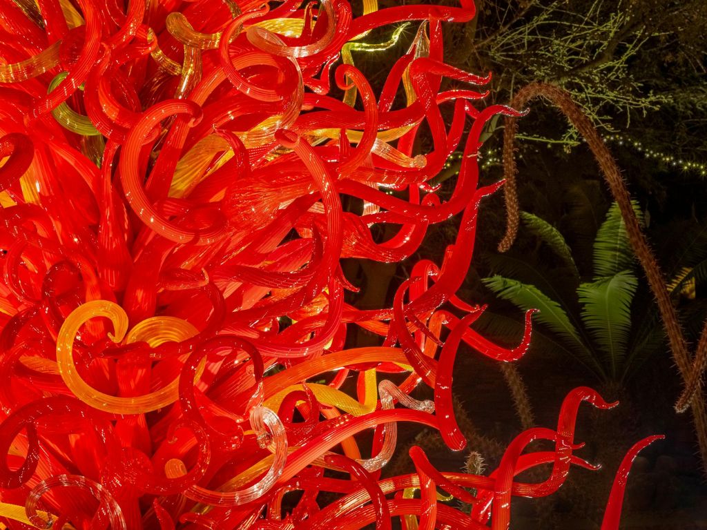 Chihuly Nights 2024 | What's on in Adelaide