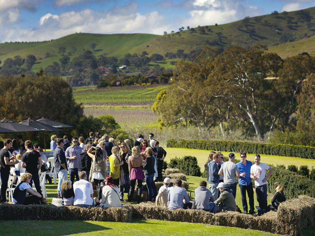 Chill Zone - Barossa Vintage Festival 2023 | Lyndoch