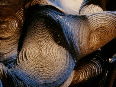 This is Baroque at its most jubilant. Join the full force of the Brandenburg Choir and Orchestra for a blockbuster celeb...