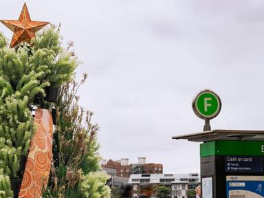 Barangaroo's Christmas is a vibrant celebration of community, culture and connection!This festive season, we're bringing...