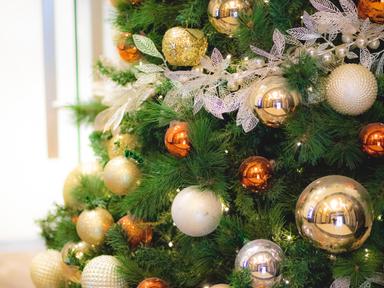 Celebrate Christmas with Pan Pacific Perth for a festive luncheon in their stunning Golden Ballroom on Christmas Day.  
...
