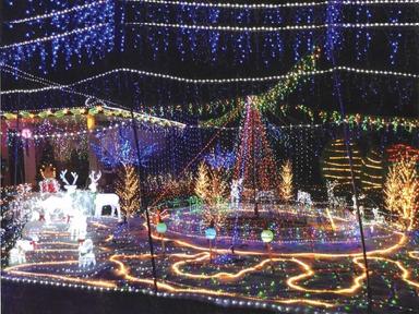 Over a million Christmas lights, reindeer, festive decorations, snow on the ground, and more will light up Andy Catajar's house in Northmead for Kids with Cancer.