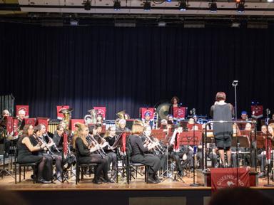Queensland Wind and BrassSunday, 12:00pm, 1:00pm and 2:00pmQueensland Wind and Brass presents an afternoon of concert ba...