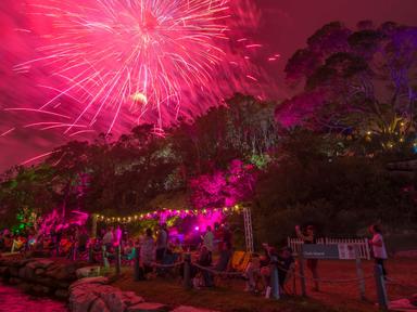 Located just off Darling Point, Clark Island offers one of the city's best views of the fireworks. Relax and enjoy a dri...