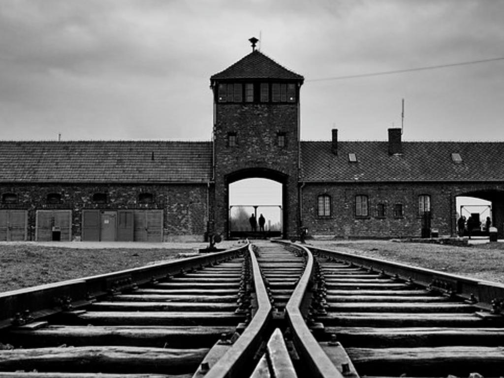 Commemoration of the liberation of Auschwitz 2022 | Darlinghurst
