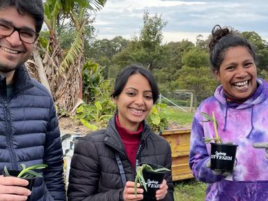 A free morning of activities and a seed swap for the community growers of inner Sydney. This is a great opportunity to c...