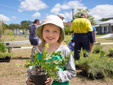 Join us to help make your suburb more attractive, cooler and walkable by planting trees. Meet your neighbours to plant trees in your local street...