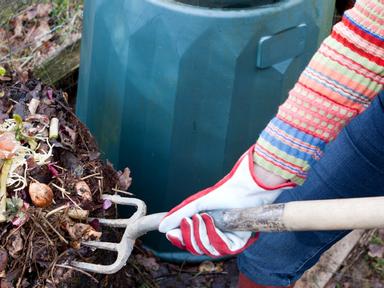 Did you know that more than a third of waste in household red bins is food waste?Worm farms and composting are a great w...