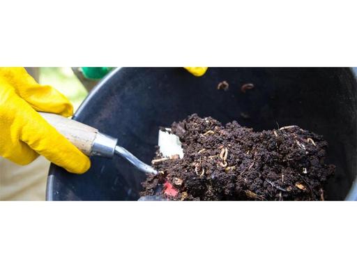 Keen to get into composting? Have some troubleshooting questions that you need help with? Join us for a session of compo...