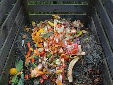 Composting For Beginners Online Event