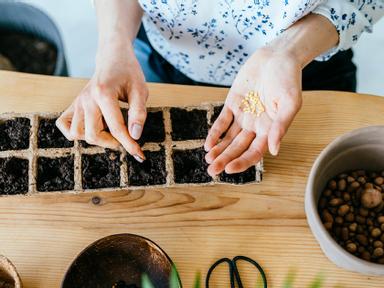 If you want to grow your own food but have a small garden or live in a rental property, why not try growing vegetables, ...