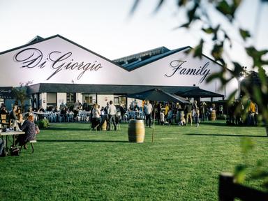 The DiGiorgio Family Wines annual Vintage Stomp is the perfect way  to kick off your Coonawarra After Dark celebrations ...