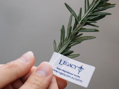 Join us at Legacy Chambers as we create mini-rosemary wreaths to remember our fallen soldiers.All supplies are provided ...