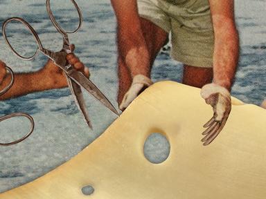 Beginners will love this introduction to collage - no prior experience is required.Share conversation, make new friends,...