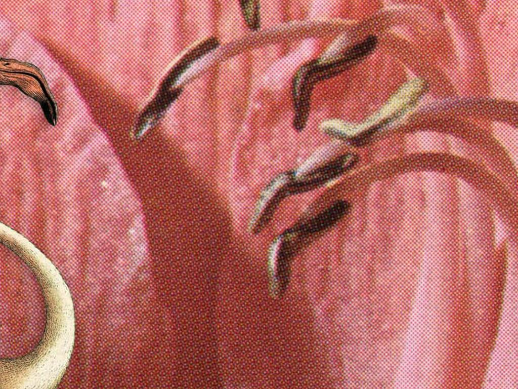 Cut X Paste - Surry Hills 2026 | What's on in Surry Hills