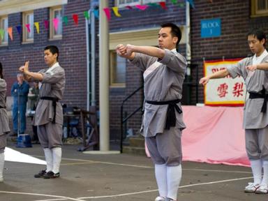 Wushu- or Chinese martial arts- is a cultural heritage gem in China used for physical fitness and self-defence. Wushu is...