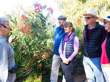Get the most out of your visit at the Australian National Botanic Gardens on a free guided walk.Led by our knowledgeable...