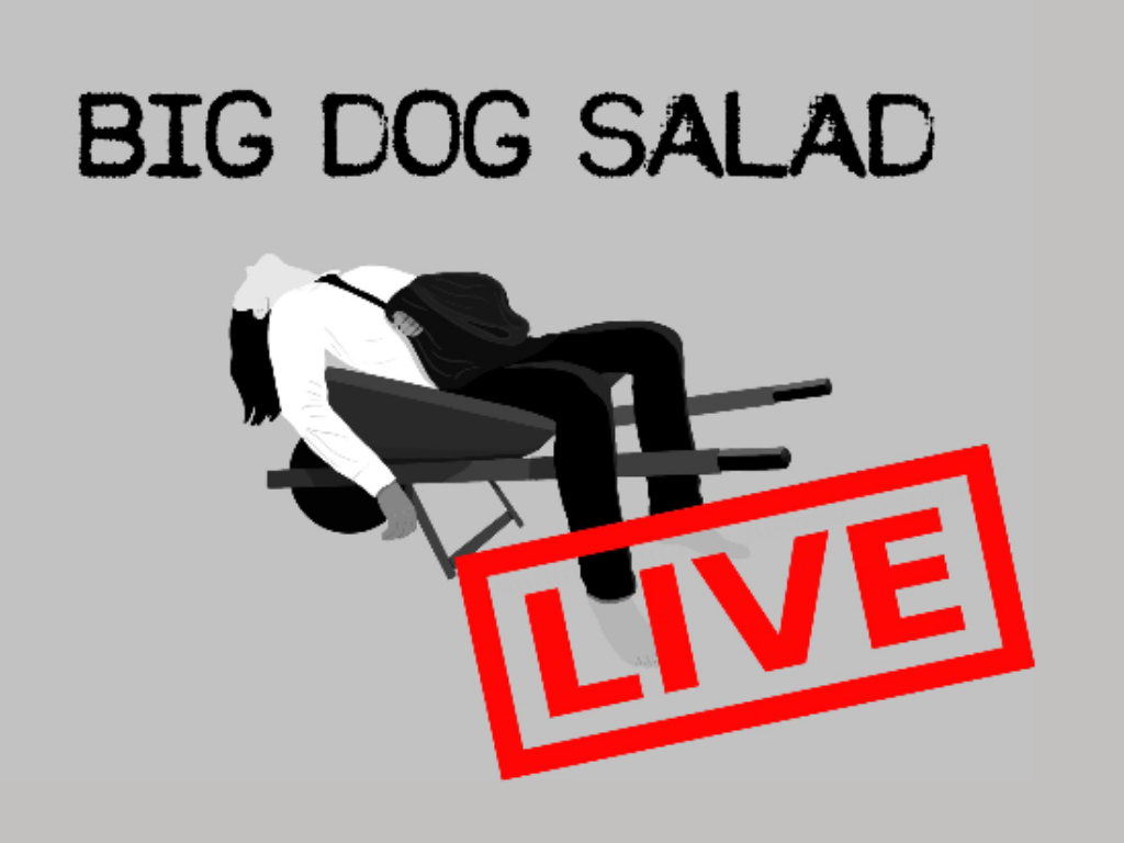 Darwin Fringe Festival Big Dog Salad Live 2021 | What's on in Darwin