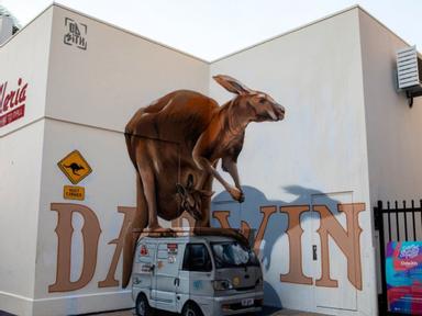 The Darwin Street Art Festival in an annual event located in the Darwin CBD, Waterfront & Cullen Bay.