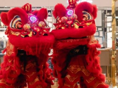 Celebrate the Year of the Rabbit with activations, photo booths, awe-inspiring lion dances, and more.Lunar New Year Claw...
