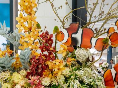 Spring has officially sprung, and our much-loved David Jones Spring Flower Show is right around the corner.Celebrating 1...