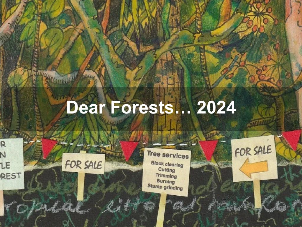 Dear Forests… 2024 | What's on in Belconnen