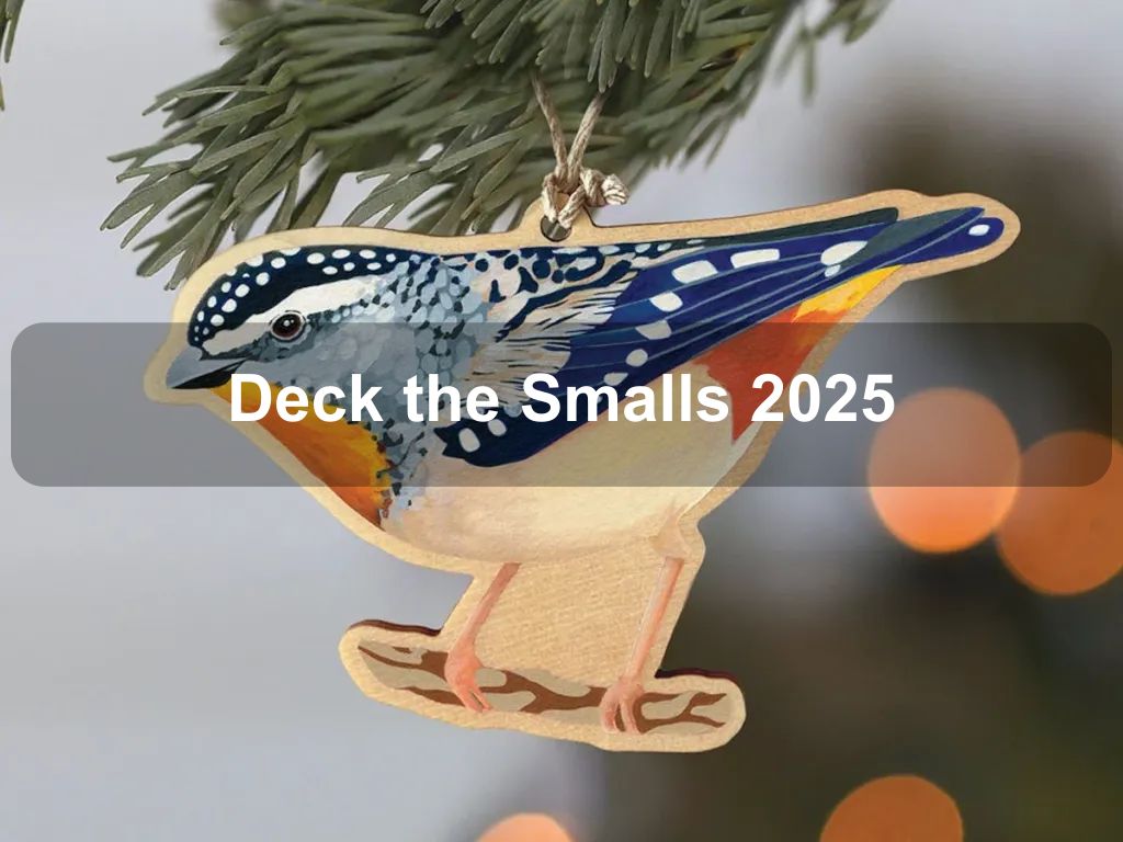 Deck the Smalls 2025 | What's on in Watson