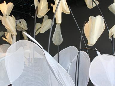 Delene White presents a sculptural garden of giant cyclamens that sway and bow- their gentle light offering a welcome an...