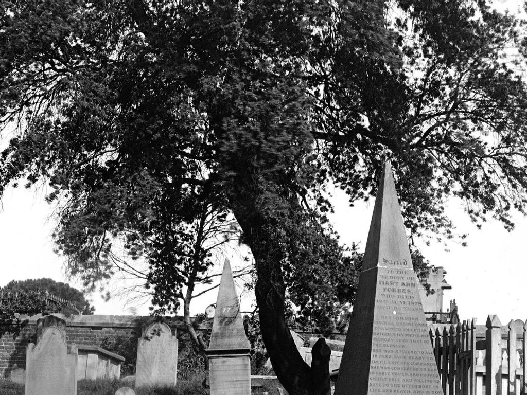 Devonshire Street Cemeteries: Memory- love and gothic horror 2021 | Sydney