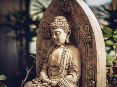Have you ever wondered about the various types of Buddhism?