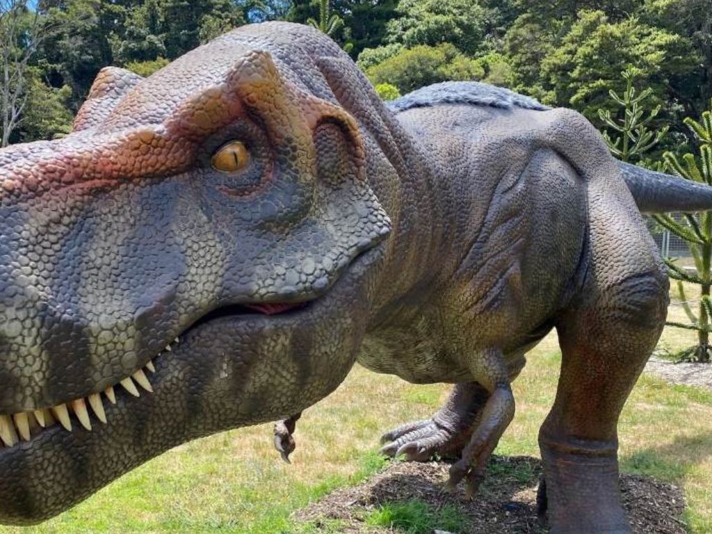 DinoFest 2023 | What's on in Adelaide