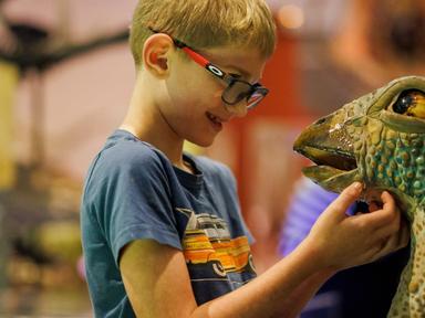 The Australian Museum's popular Dinosaur Festival is back these spring school holidays! Join us for a roar-some program,...