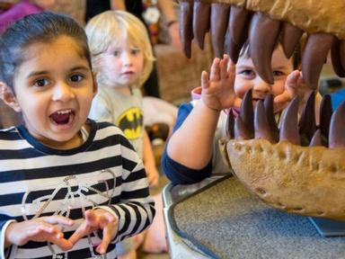 These summer holidays Melbourne Museum brings you dinosaurs and fossils for early learners.