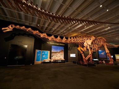 Don't miss your chance to see this once-in-a-lifetime exhibition 230 million years in the making, only at Queensland Museum!