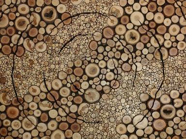 A sculptural feast of three dimensional decorative wood mosaics by Dirk Lejeune.Inspired by his fascination of the Austr...