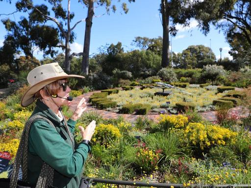 Kaarta Koomba (Kings Park) stretches for over 400 hectares of cultivated gardens and untamed bushland.Discover the signi...