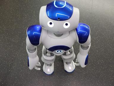Are you interested in learning how to program a robot, or exploring block coding basics? Join us in the Innovation Lab and discover the Library's fun robot friends.