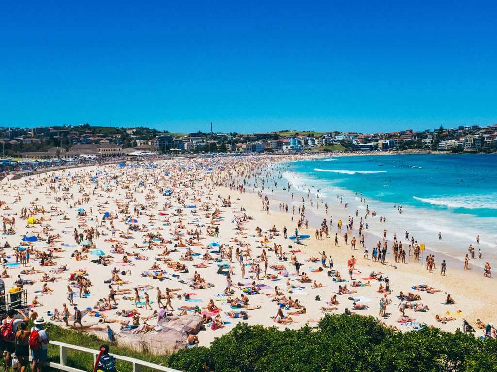 Discover Sydney's best beaches for sun, surf, and relaxation. 2023 | UpNext