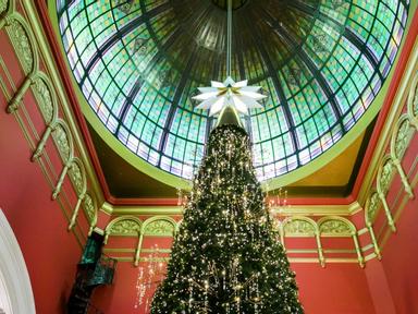 Witness the iconic QVB Swarovski Tree - the largest indoor Christmas tree in Australia- standing at 24 metres and reaching all the way up to the top of the Centre Dome. Just as beguiling are its 100-000+ sparkling crystal ornaments- 65-000 twinkling lights and 6-400 rosebuds. The tree comes to life in a glistening display of light - a must see from every level.Join us for a season of magical Santa experiences- exclusive shopping services and celebrations.Visit the website for further information here.Discover all the ways we will be making your Christmas COVID-safe here.