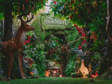 Step into an immersive experience inspired by Disney's Snow White and explore a mysterious path through an enchanted for...