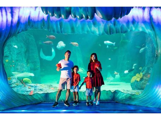 Dive Into Lunar New Year At Sea Life Sydney Aquarium! 2025