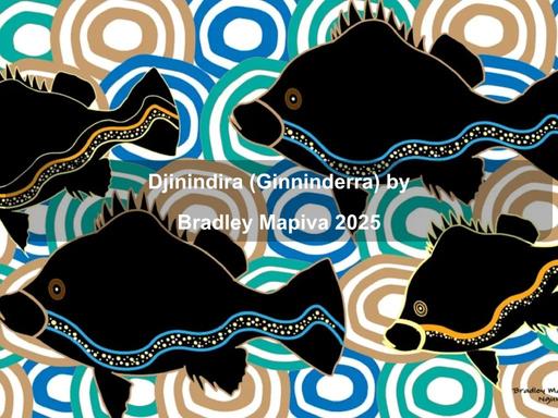 Djinindira means sparkling ray of light" in the Ngunnawal language" Djinindira means sparkling ray of light" in the Ngunnawal language"