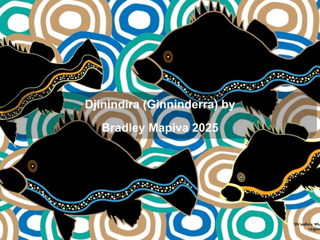 Djinindira (Ginninderra) by Bradley Mapiva 2025 | What's on in Belconnen Djinindira (Ginninderra) by Bradley Mapiva 2025 | What's on in Belconnen