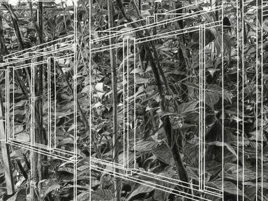 The biennial Dobell Drawing Prize is Australia's leading prize for drawing and an unparalleled celebration of drawing te...