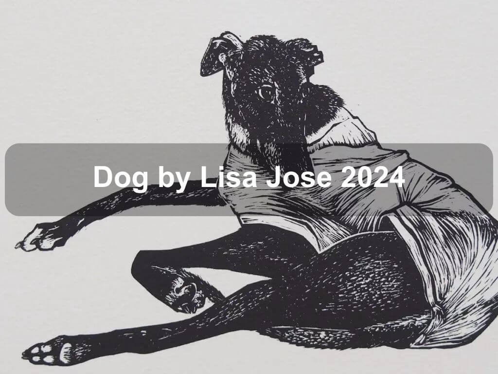 Dog by Lisa Jose 2024 | Belconnen