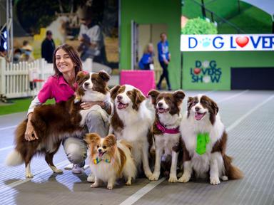 Discover the pure joy of dogs at the 2023 Brisbane Dog Lovers Festival.