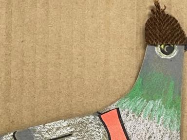 Do you love drawing? Join Andrea for some illustration fun drawing all sorts of birds. Grab your coloured pencils, felt ...