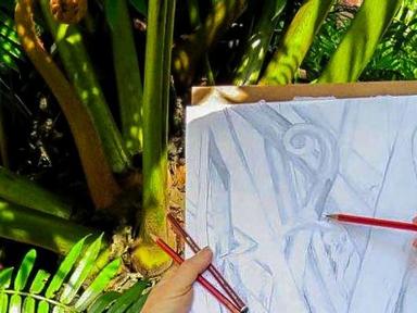 Take a walk through the Botanic Gardens and enjoy some observational sketching 'in the open air'. Be inspired by the sha...
