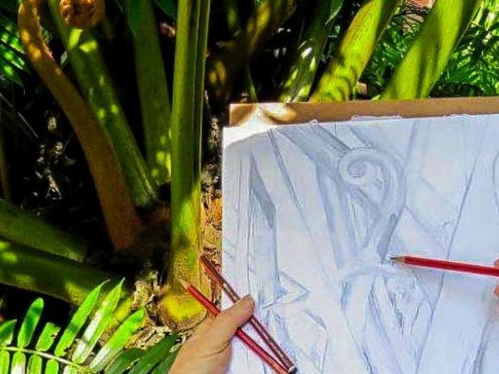 Drawing nature 'en plein air' 2022 | Toowong